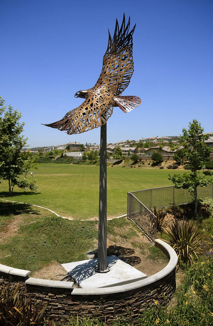 06. Red tail Hawk
